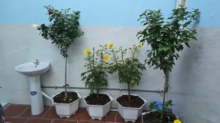 Dan Family Homestay Отели рядом с достопримечательностью «Doi Duong Beach»