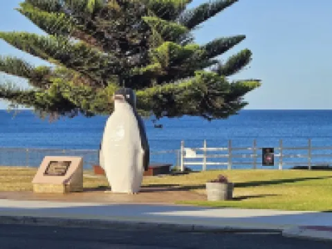 Penguin Retreat Hoteles en Penguin