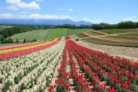 STAY IN YAMABE Hotels in Furano