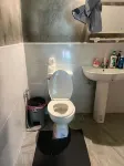 Hidden Gem Elephant