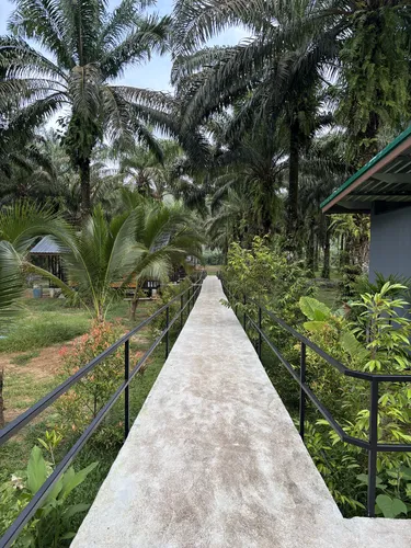 รูปภาพของKhaoSok Mountain Palms Lodge & Tours