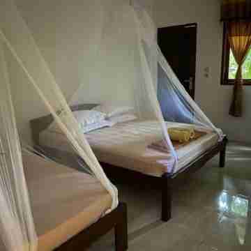 Tangkoko Macaca Rooms