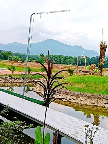 รูปภาพของวอรา น่าน