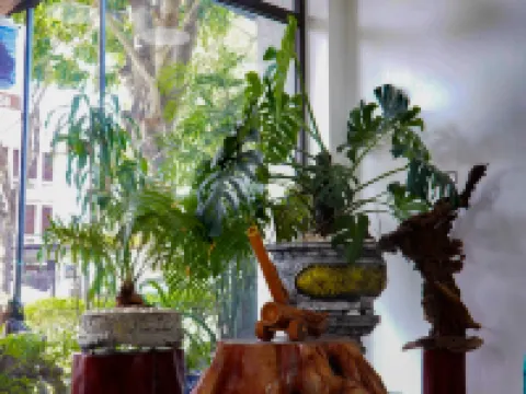 TAM COC GOLDEN SHINE HOMESTAY Hotels in Hoa Lu District