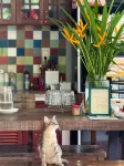 Homestay in Tay Ninh - Homestays