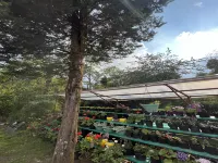 Ifseen Villa - 2-Star