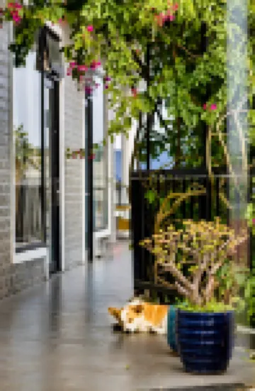 Be Youth Villa Da Lat - O'TEL