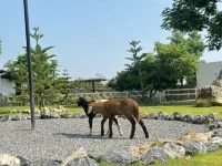 549 Resort & Cafe Lamphun Hotels in Li District