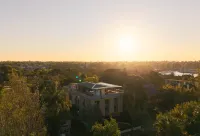 Little Drifter Glebe