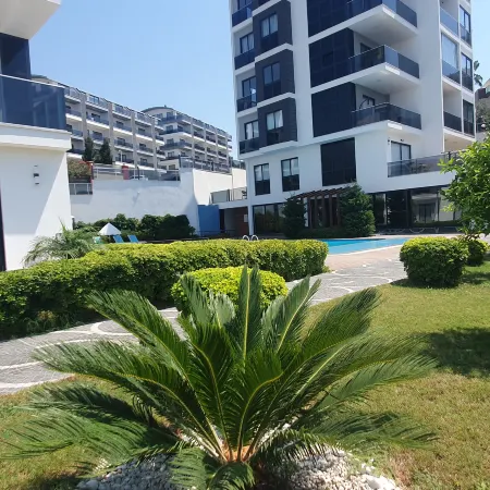 A dreamy luxury one-bedroom apartment with special views of the forest, sea and sunset
