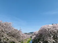 Sakuranoya