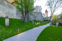 Stay in a real medieval tower (lower floors) - Homestays