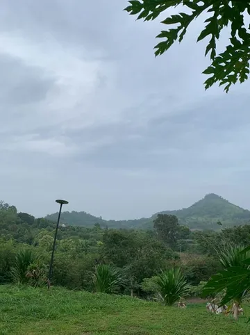 รูปภาพของภูม่านหมอก เขาใหญ่