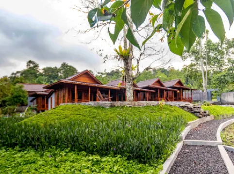 Shankara Forest Haven Villa by AGATA Отели рядом с достопримечательностью «Batukau Mountain»