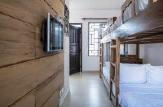 Mkomazi Hotels and Camp Sites Hotels in 