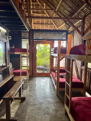 ShakaBrah beach hostel - Bãi biển