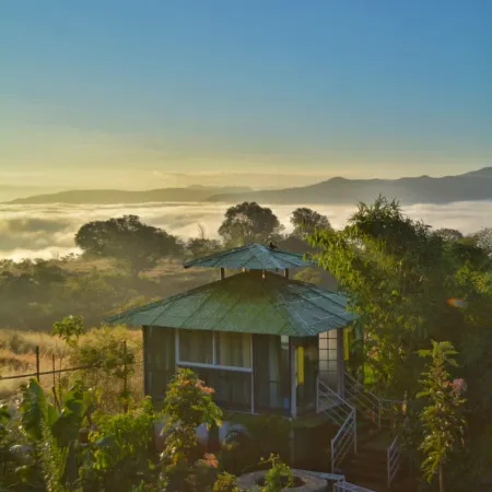 Forrest Homestay Villa