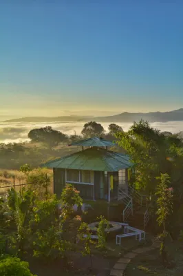 Forrest Homestay Villa - Alloggi