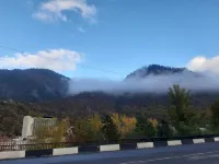 eco cottage for rent in Borjomi Hotels in Borjomi