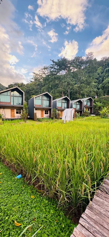 รูปภาพของThe Proud Resort Riverside Cafe Sapan-nan