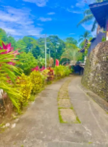 Placido’s Vacation Home in Puerto Galera โรงแรมใน