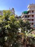 Sunny and quiet stay in Boudha -  Ferienwohnungen