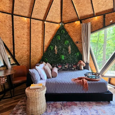 The Shroom Room | Romantic Dome with view near Smokies on Nolichucky River