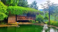 Hello Mu Cang Chai Homestay - Tours Hotels in Tu Le