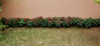 Beltola Lodge - a serene homestay Hotels in 