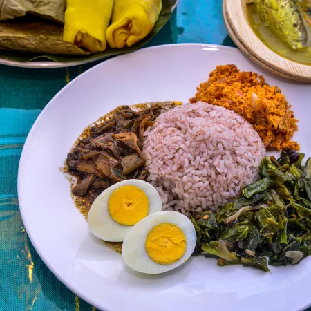 Greenland Villa Ella