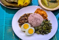 Greenland Villa Ella