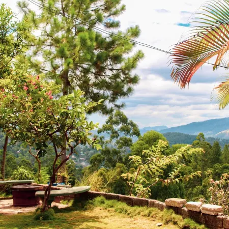 Velora Hill Ella | Panoramic Hilltop Stay #105