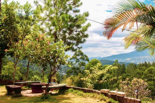 Velora Hill Ella | Panoramic Hilltop Stay #105 - Villas