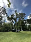 Jungle Zen Janda Baik Campsite Hotels in Bentong