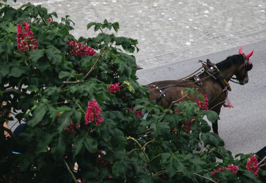 님버즈 아파트먼트