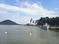 Cottage Blueberry near Macha Lake