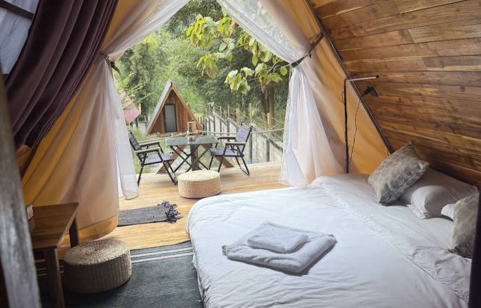 Mimosa Backpackers Hostel