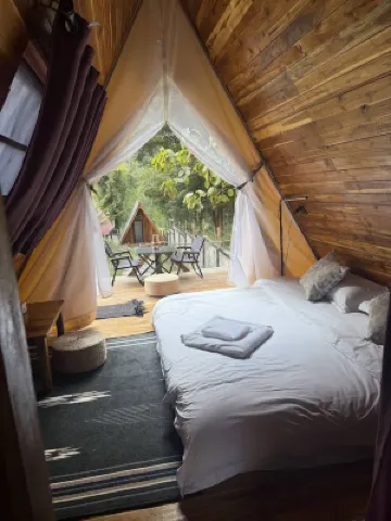 Mimosa Backpackers Hostel 酒店