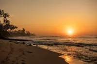 Neem Boutique Hotel Madiha - ADULTS ONLY - Beach