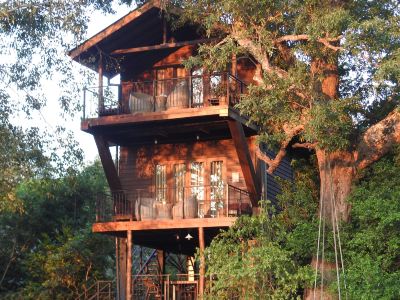 Wilpattu Treehouse Hotel