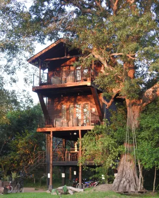 Wilpattu Treehouse Hotel - Desayuno