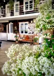 Aurora Homestay