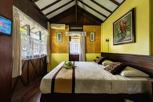Dedaunan Guesthouse - Pools