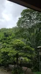 Rimthar Phu Willa - pemandangan pegunungan