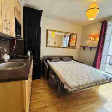 Vintage studio 150m to Notre Dame Rooms