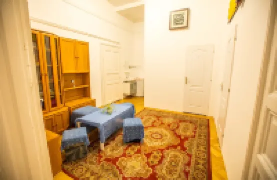 Center apartment 1 bedroom privite use Spring room