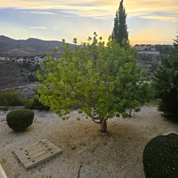 Emily's Sun Escape