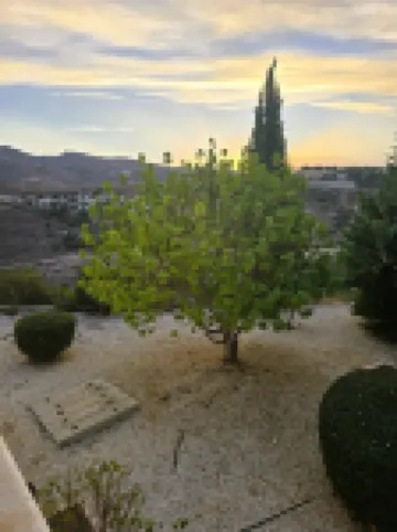 Emily's Sun Escape Hotels in 