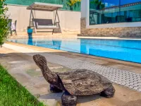 Villa Limon - Seaview Luxury Villa - Vila