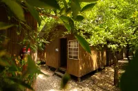 Olympos Yakamoz Pansiyon Hotels in 